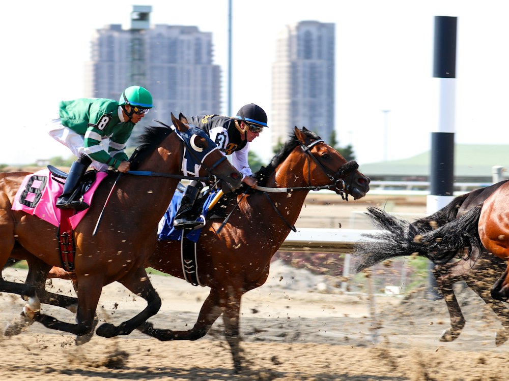 Varios jinetes compitiendo con sus caballos en una carrera
